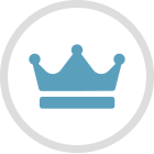 Web Development VIP Services